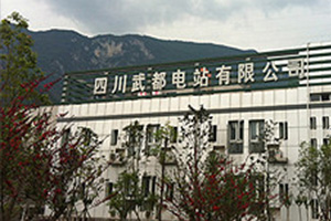 四川武都水電站